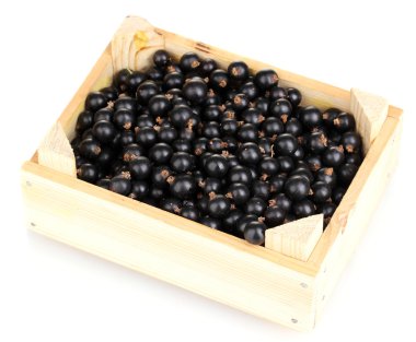 Black currant in crate isolated on white clipart