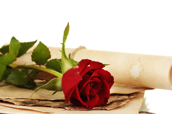 旧羊皮纸和信件以一个白色背景特写镜头上的玫瑰 — 图库照片