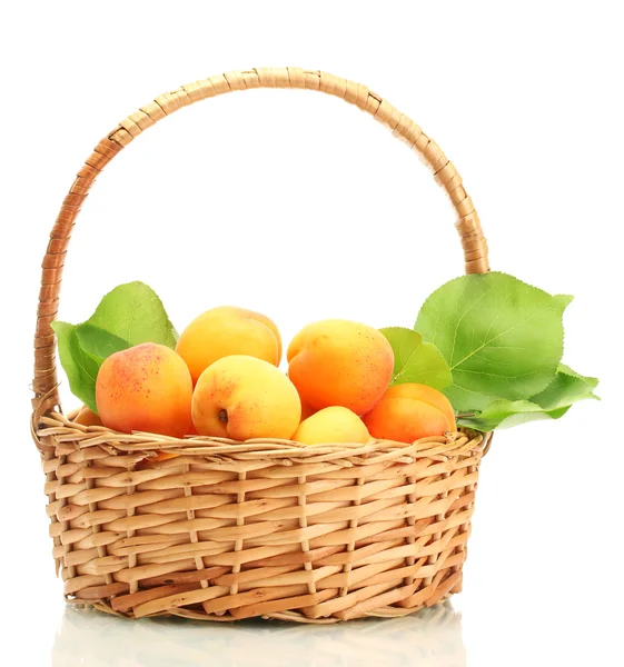 Ripe apricots with green leaves in basket isolated on white — Stock Photo, Image