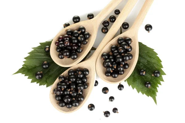 stock image Fresh black in wooden spoons on white background close-up