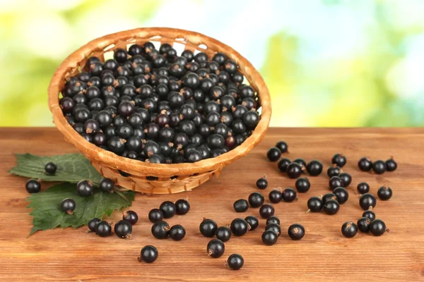 Fresh black currant in wicker basket on green background close-up — Stock Photo, Image