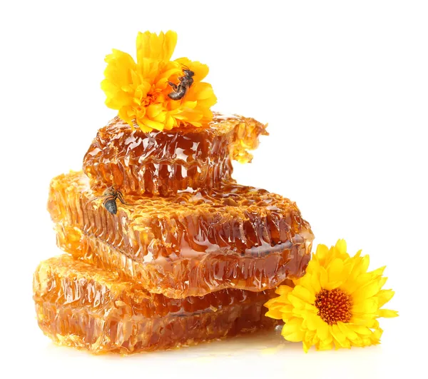 Favo dolce con miele, api e fiori, isolato su bianco — Foto Stock