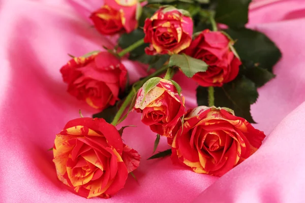 Hermosas rosas rojo-amarillas en el primer plano de satén rosa —  Fotos de Stock