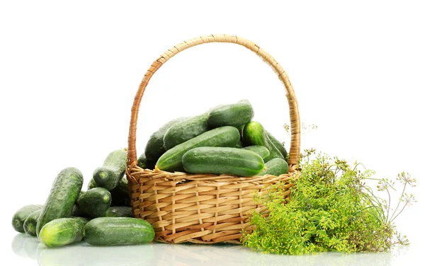 Verse komkommers en dille in mand geïsoleerd op wit — Stockfoto