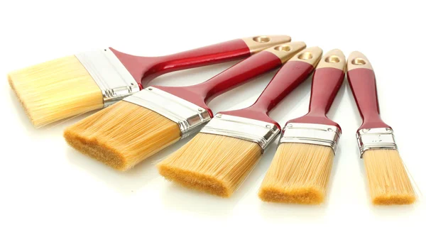 Paint brushes isolated on white Stock Image