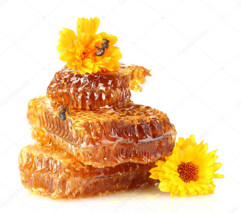 Sweet honeycomb with honey, bee and flowers, isolated on white