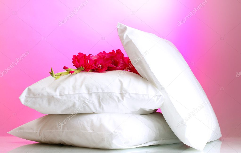 Pillows and flower, on pink background