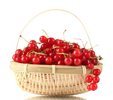 redcurrants üzerinde beyaz izole bir sepet içinde