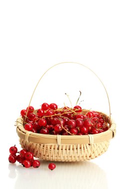 redcurrants üzerinde beyaz izole bir sepet içinde