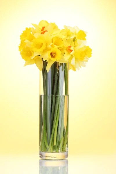 Bellissimi narcisi gialli in vaso trasparente su fondo giallo — Foto Stock