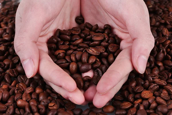 Färska rostade kaffebönor i händerna — Stockfoto