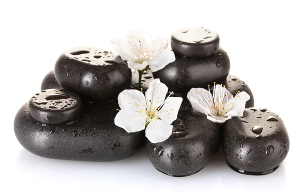 Çiçek ve yaprakları beyaz yakın çekim izole siyah spa taşlarla — Stok fotoğraf