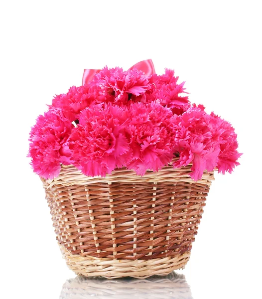 Bonitos cravos cor-de-rosa em cesta isolada em branco — Fotografia de Stock