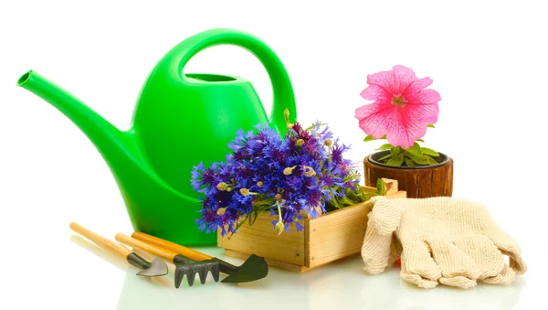 Gieter, tools en bloemen geïsoleerd op wit — Stockfoto