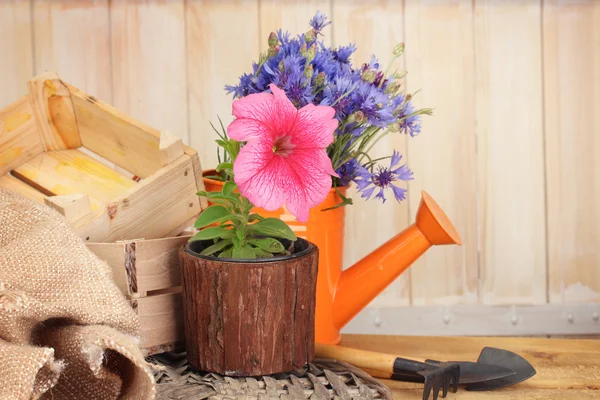 Regadera, herramientas y flores sobre fondo de madera —  Fotos de Stock