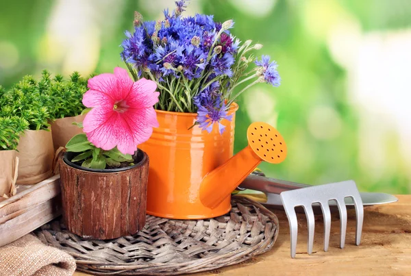 Gieter, tools en bloemen op houten tafel op groene achtergrond — Stockfoto