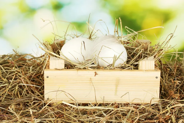 Oeufs blancs dans une boîte en bois sur le foin sur fond vert gros plan — Photo