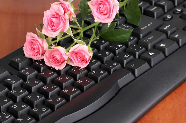Pink roses on keyboard close-up internet communication — Stok fotoğraf
