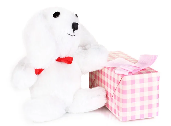 White bunny and gift box isolated on white — Stock Photo, Image
