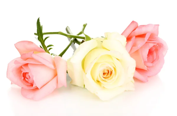 Three roses isolated on white — Stock Photo, Image