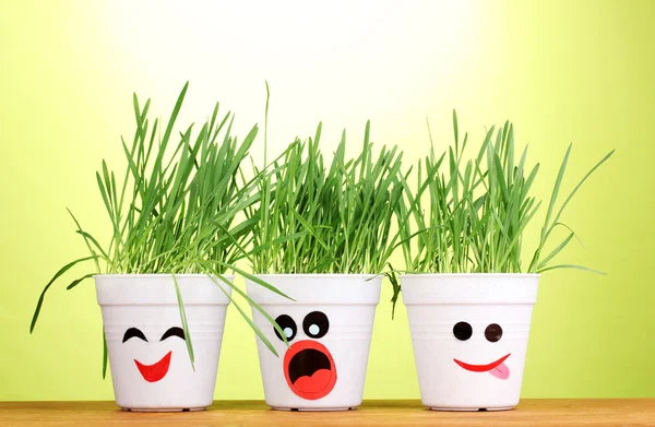 Een potten van gras op groene achtergrond — Stockfoto