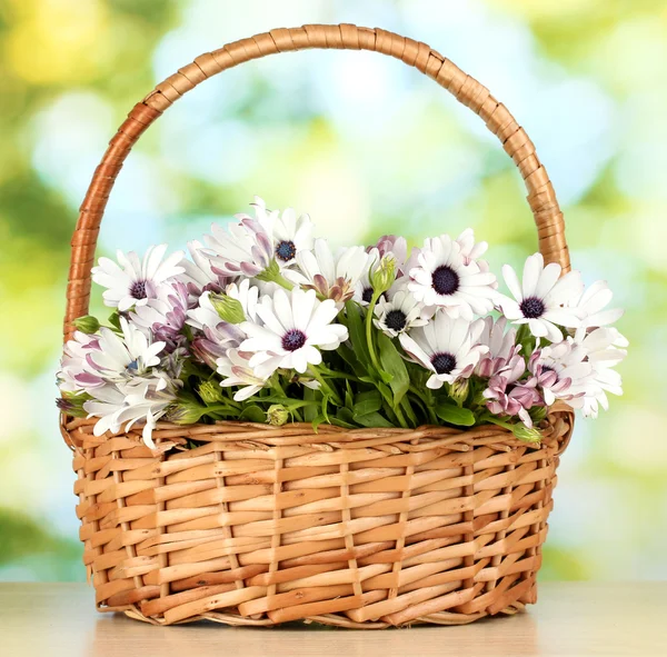 Bouquet of beautiful summer flowers in basket, on green background — Stock Photo, Image