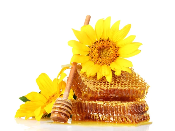Favos de mel doces com mel, drizzler de madeira e girassóis, isolados em branco — Fotografia de Stock