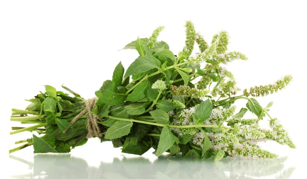 stock image Fresh mint with flowers, isolated on white