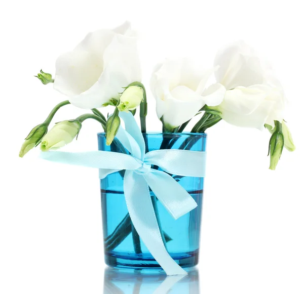 Prachtige Lentebloemen in blauwe vaas geïsoleerd op wit — Stockfoto