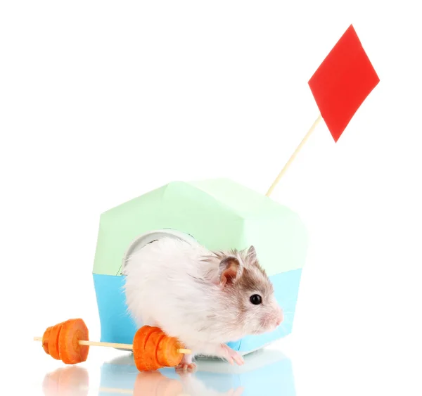 Söt hamster nära huset isolerat vit — Stockfoto