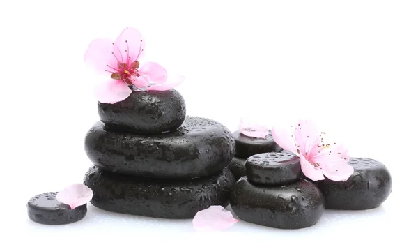 Spa stones with drops and pink sakura flowers isolated on white — Stock Photo, Image