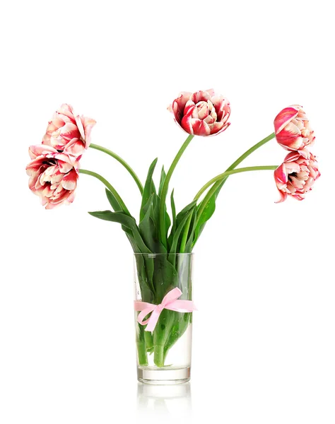 Gyönyörű tulipánok a vázában elszigetelt fehér — Stock Fotó