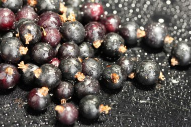 arka plan siyah yakın çekim üzerinde taze Siyah frenk üzümü