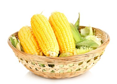 Fresh corn cobs in basket isolated on white