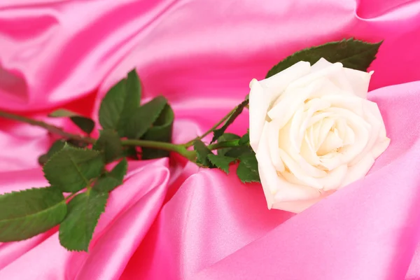 Nádherná růže na růžovou látkou — Stock fotografie
