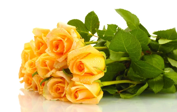 Schöner Strauß Rosen isoliert auf weiß — Stockfoto