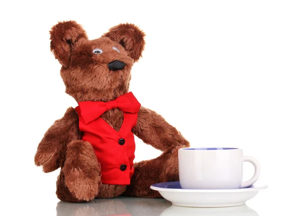 Toy bear and cup with saucer isolated on white — Stock Photo, Image