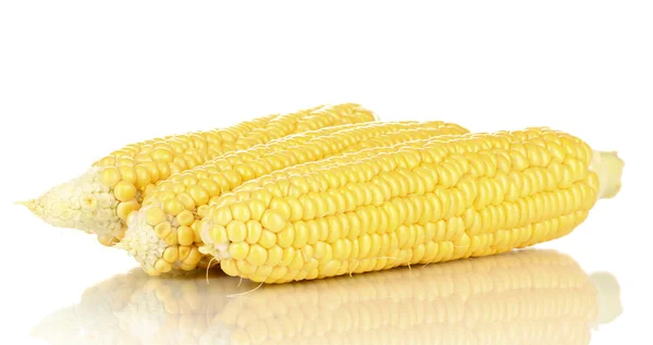 Pannocchie di mais fresche isolate su bianco — Foto Stock