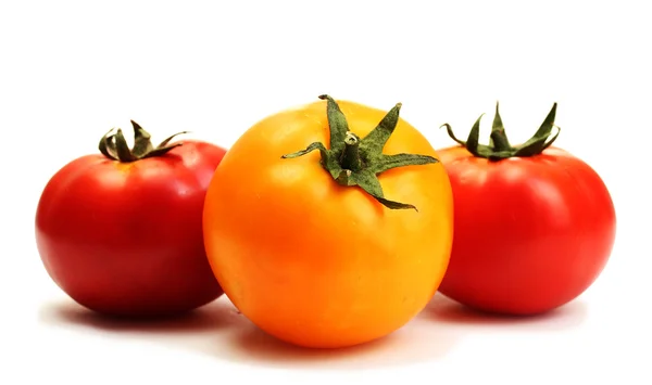 Beyaz izole kırmızı ve sarı domates — Stok fotoğraf