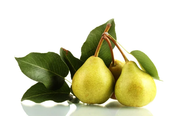 Ζουμερά flavorful αχλάδια που απομονώνονται σε λευκό — Φωτογραφία Αρχείου