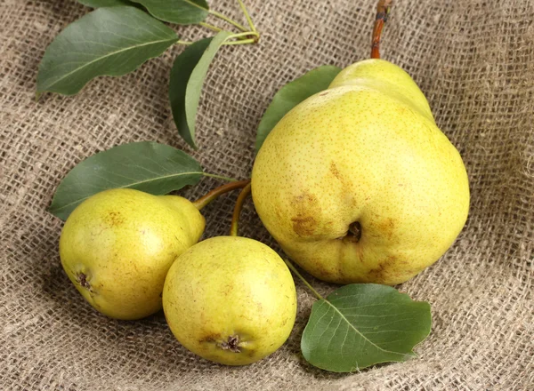 stock image Juicy flavorful pears on sackcloth