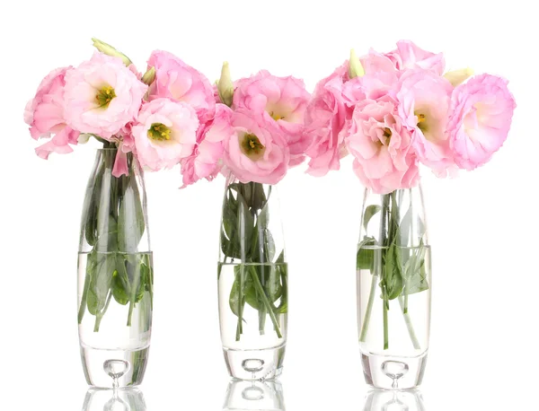 Bouquet of eustoma flowers in vases, isolated on white — Stock Photo, Image