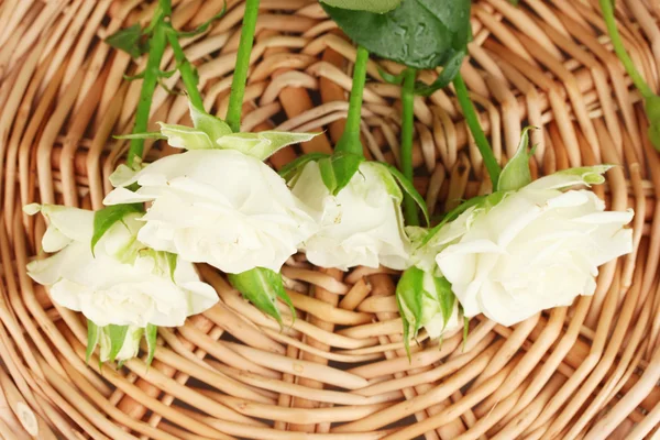 Hermosas rosas blancas en alfombra de mimbre de cerca —  Fotos de Stock