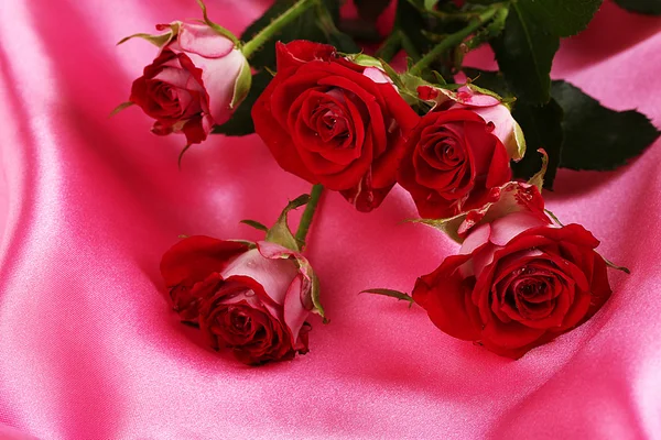 Hermosas rosas vinosas en el primer plano de satén rosa —  Fotos de Stock