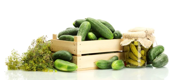 Verse komkommer in houten kist, augurken en dille geïsoleerd op wit — Stockfoto