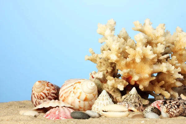 海珊瑚有贝壳的蓝色背景特写 — 图库照片