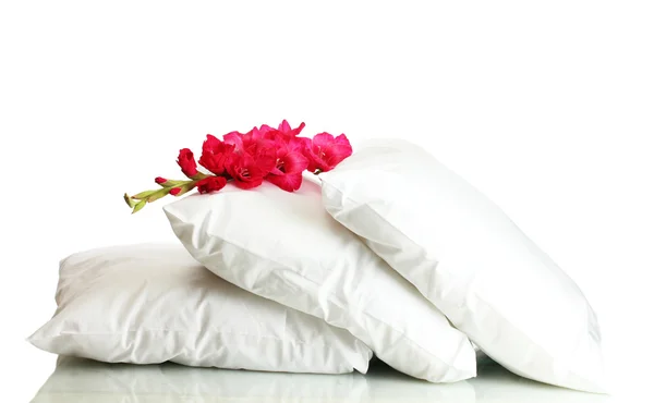Yastıklar ve çiçek, üzerinde beyaz izole — Stok fotoğraf