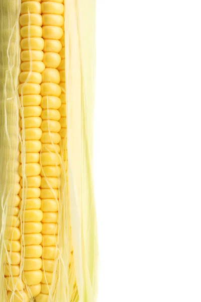 Свежая кукуруза, изолированная на белом — стоковое фото