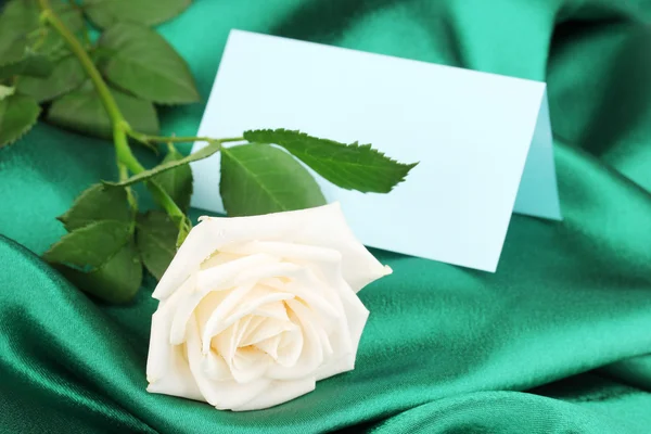 Mooie roos op groene doek Stockfoto