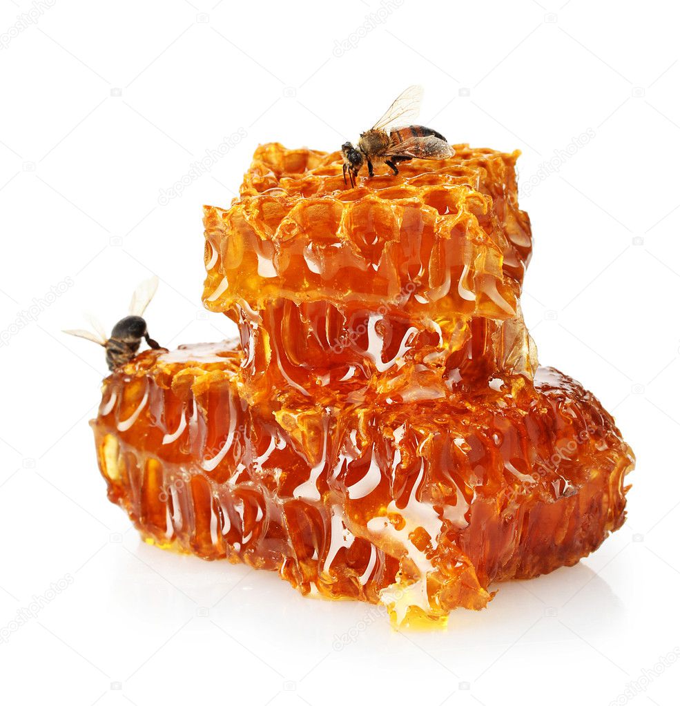 Sweet honeycomb with honey and bee, isolated on white